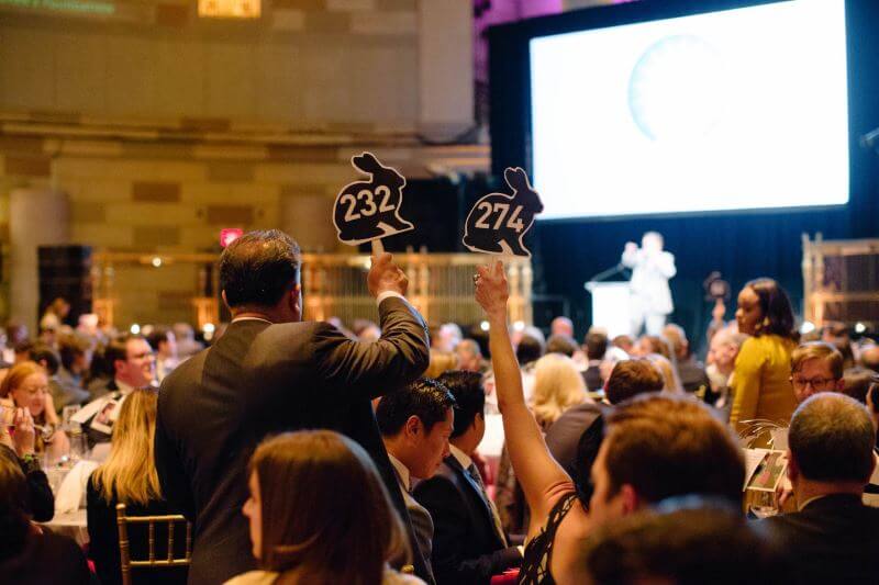 Fiver Gala Rabbit Auction Paddle