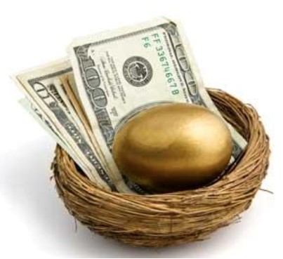 Nest Egg