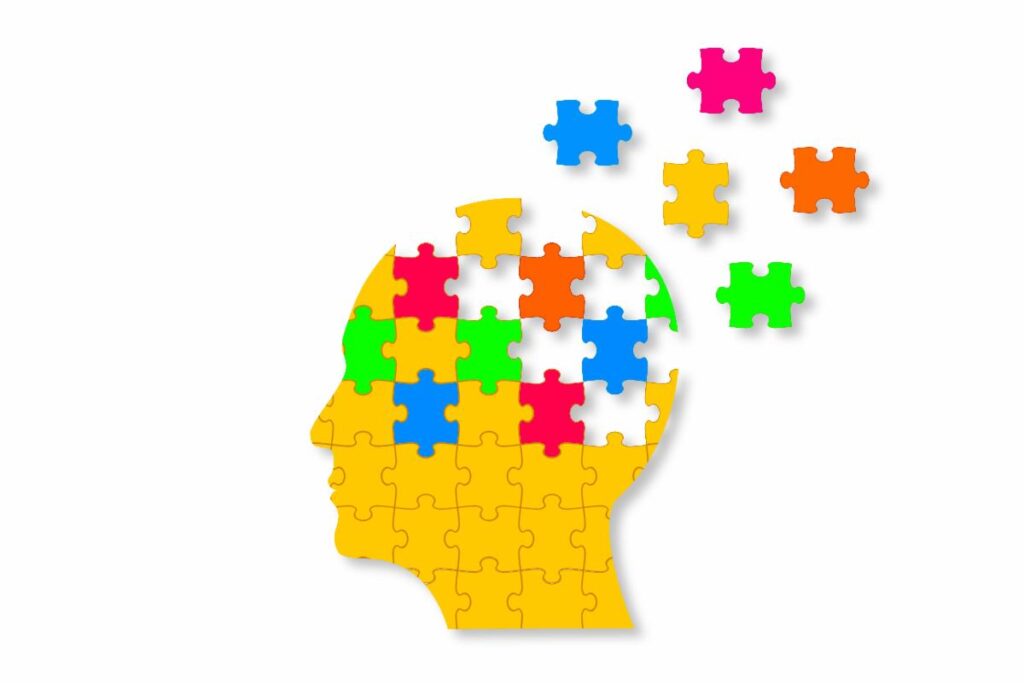 Brain Puzzle