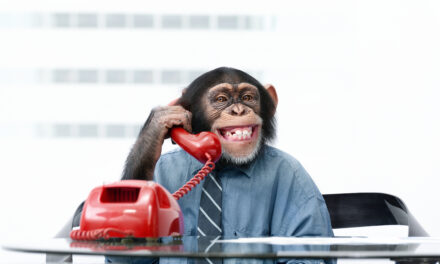 Want Your Board to Deliver on the Gala? Feed the Monkey Brain.